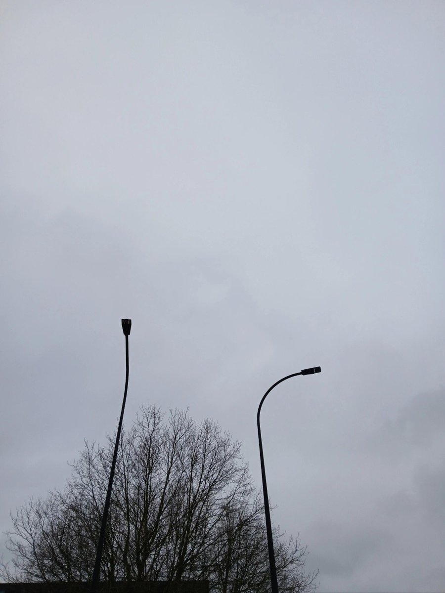 曇りは憂鬱じゃなくて、静けさ。🕊️