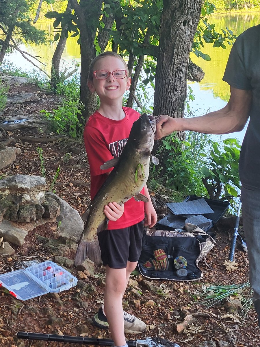 tigerscorner93's tweet photo. Bugs caught his first catfish June 1st 2025 https://t.co/4w71VSXC0Q