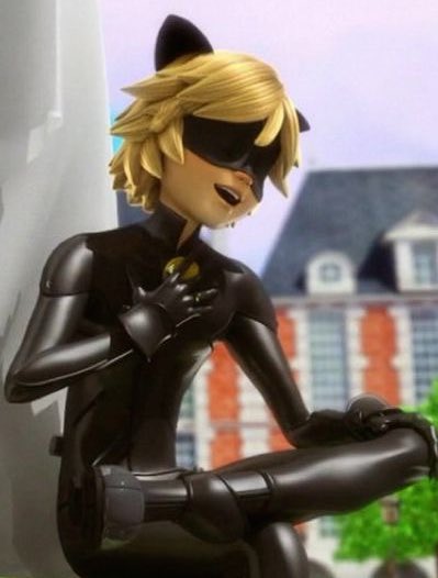 좋은 아침! 야옹-!