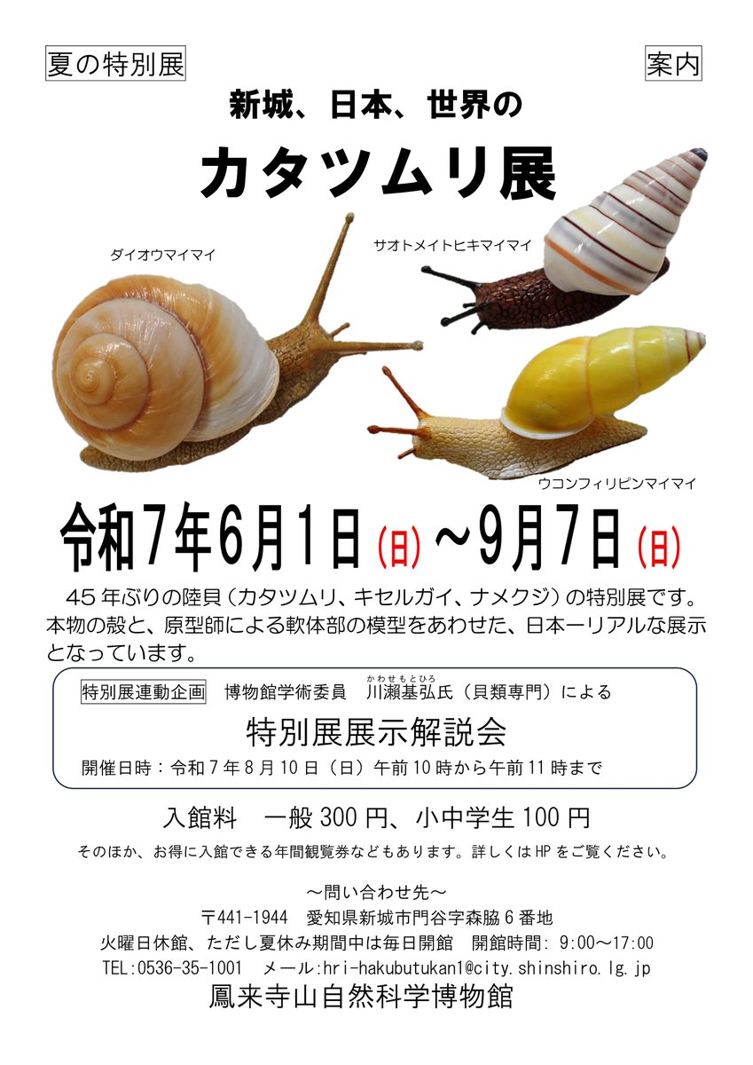＼新城、日本、世界のカタツムリ展／

45年ぶりの陸貝（カタツムリ、キセルガイ、ナメクジ）の特別展です。本物の殻と、原型師による軟体部の模型をあわせた、日本一リアルな展示となっています。

▼詳しくはこちら
city.shinshiro.lg.jp/mokuteki/shise…

#愛知県 #新城市
#鳳来寺山自然科学博物館 #カタツムリ