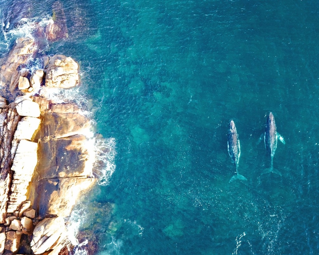 Giving is not just about making a donation, it’s about making a difference!⁠

As 30 June approaches, please consider a tax-deductible gift to the WA Parks Foundation. 

ourwaparks.org.au/get-involved/d…