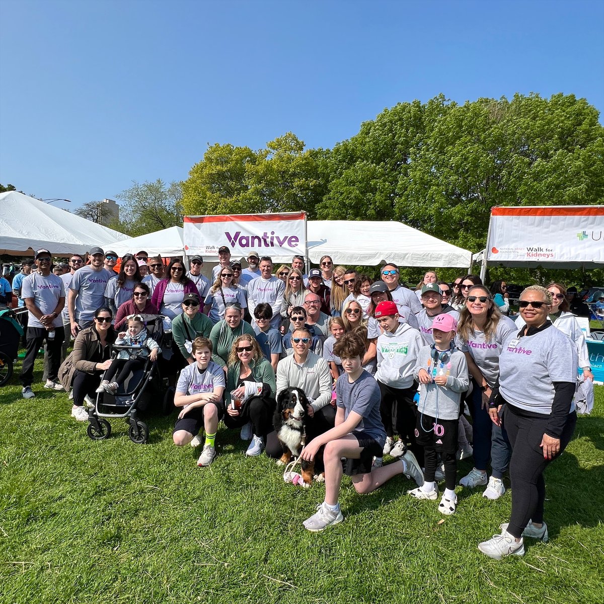 VantiveHealth's tweet photo. Thank you @nkfIllinois for hosting an inspiring #WalkForKidneys! Vantive was proud to walk with patients & advocates.
Our US GM Carlos Escobar reflected on our mission to extend lives and #ExpandPossibilities, and how we can move forward together. #WeAreVantive https://t.co/xixdTbVJ7X