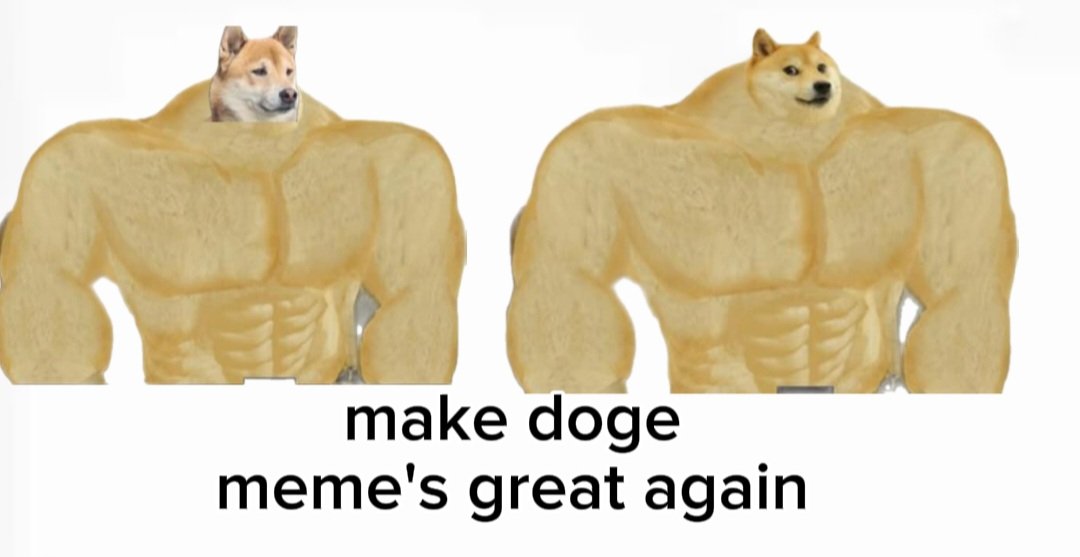 jlz9's tweet photo. solona memes are ass mostly ai or shitty coins for veiws
doge and giga doge memes are here forever
also solona dont have a doge meta runner above 10mil -100mil
also doge will be crosschaines to solona soon
think about it
Giga Doge is here to make it great again
#MDMGA https://t.co/JL3A2wIhoX