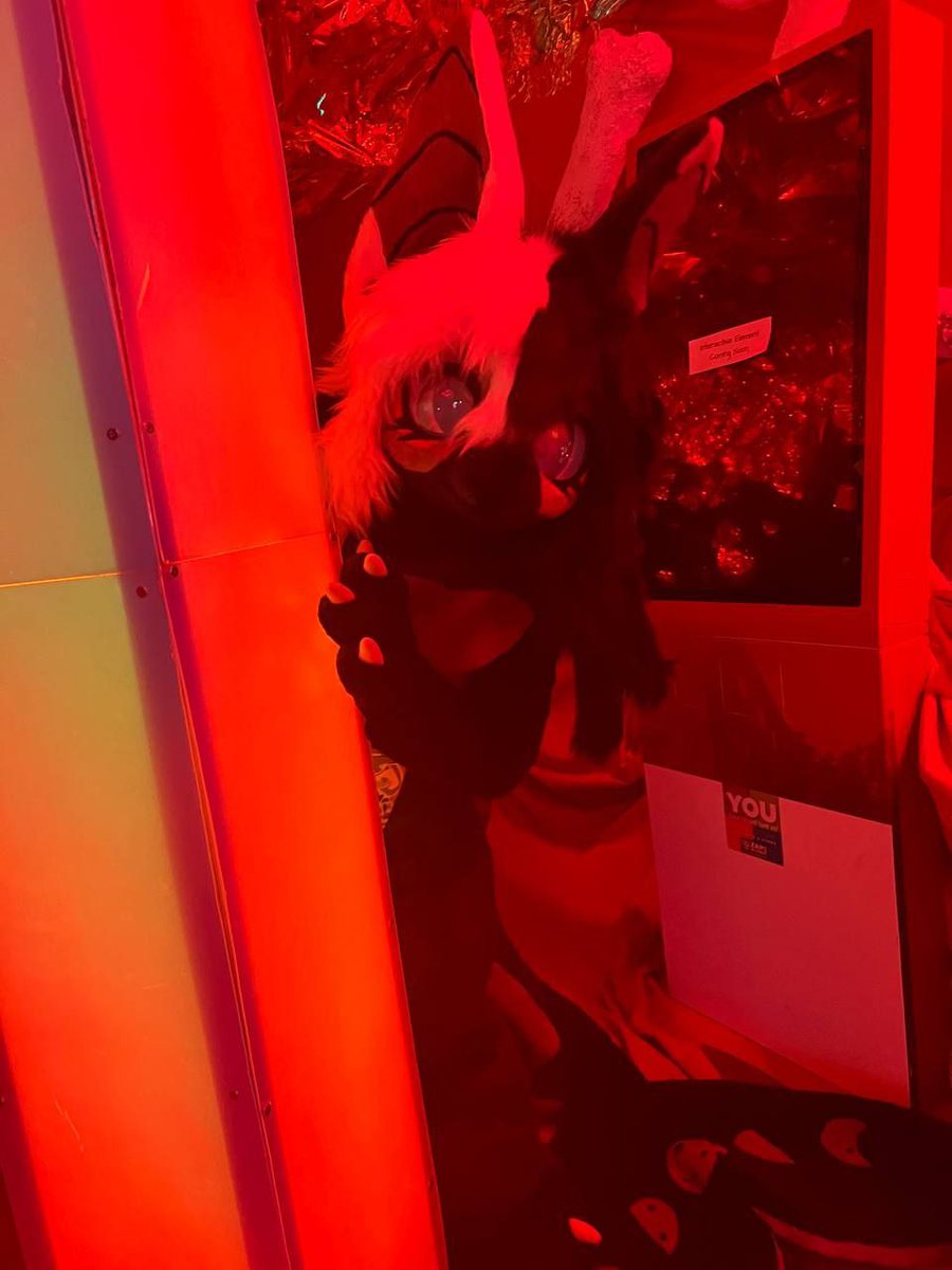 rubberist sharkerist tweet media