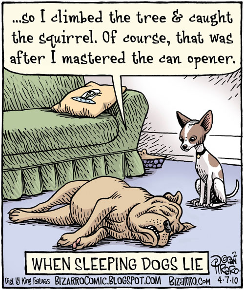 Nighty night! We getting settled down on the couch to watch some TV! Won't be long until we head off to the big bed though - we all kind of tired and we got to go get Mom's meds tomorrow. Here is a #LouLaffs! Bark and sniff tomorrow.
