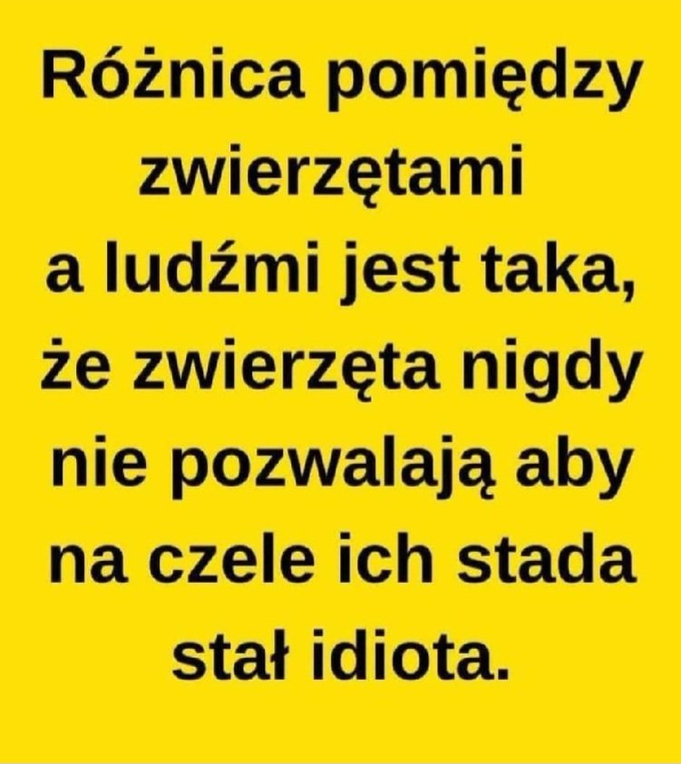 Myszabella 🐭 #Trzaskowski2025 (@myszabella66654) on Twitter photo 