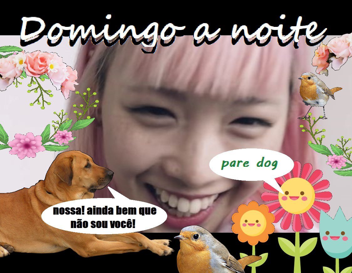 e se esse fosse o último post dessa página ?