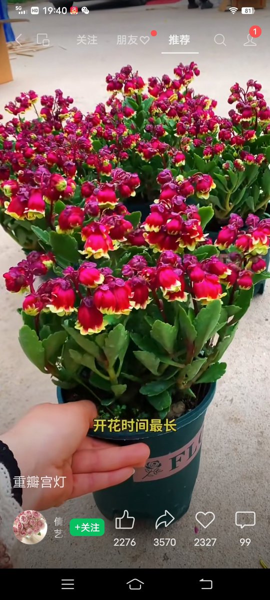 duansheli144519's tweet photo. 鲜花可以愉悦心情,蝉甲可以弥补贫穷
#金蝉社区 #蝉甲 #ETHW #DX #MEWGA
@goldencicadaPOW
@dxdao_ethw
@BeatlesPOW
@camel_ark https://t.co/dc8STLaoaQ