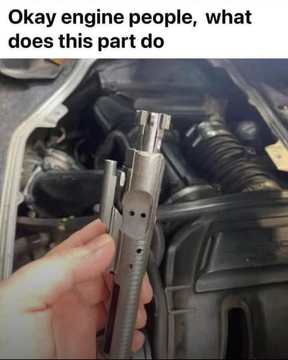 Gun Lovers Club tweet media