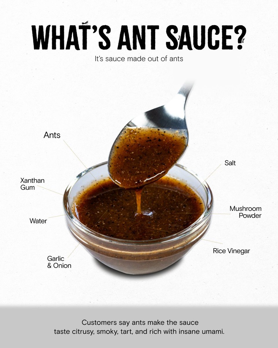 Ant Sauce tweet media