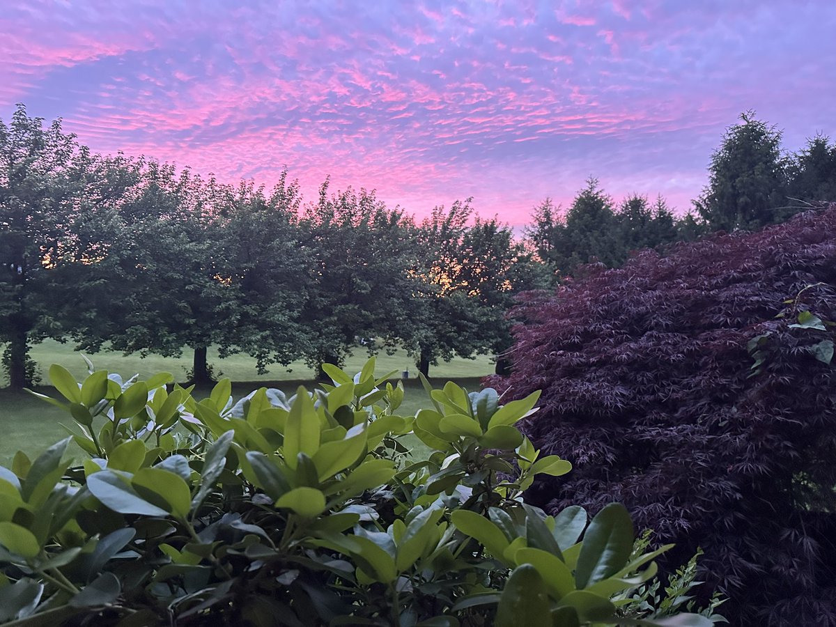 CyberGirlCrypto tweet media