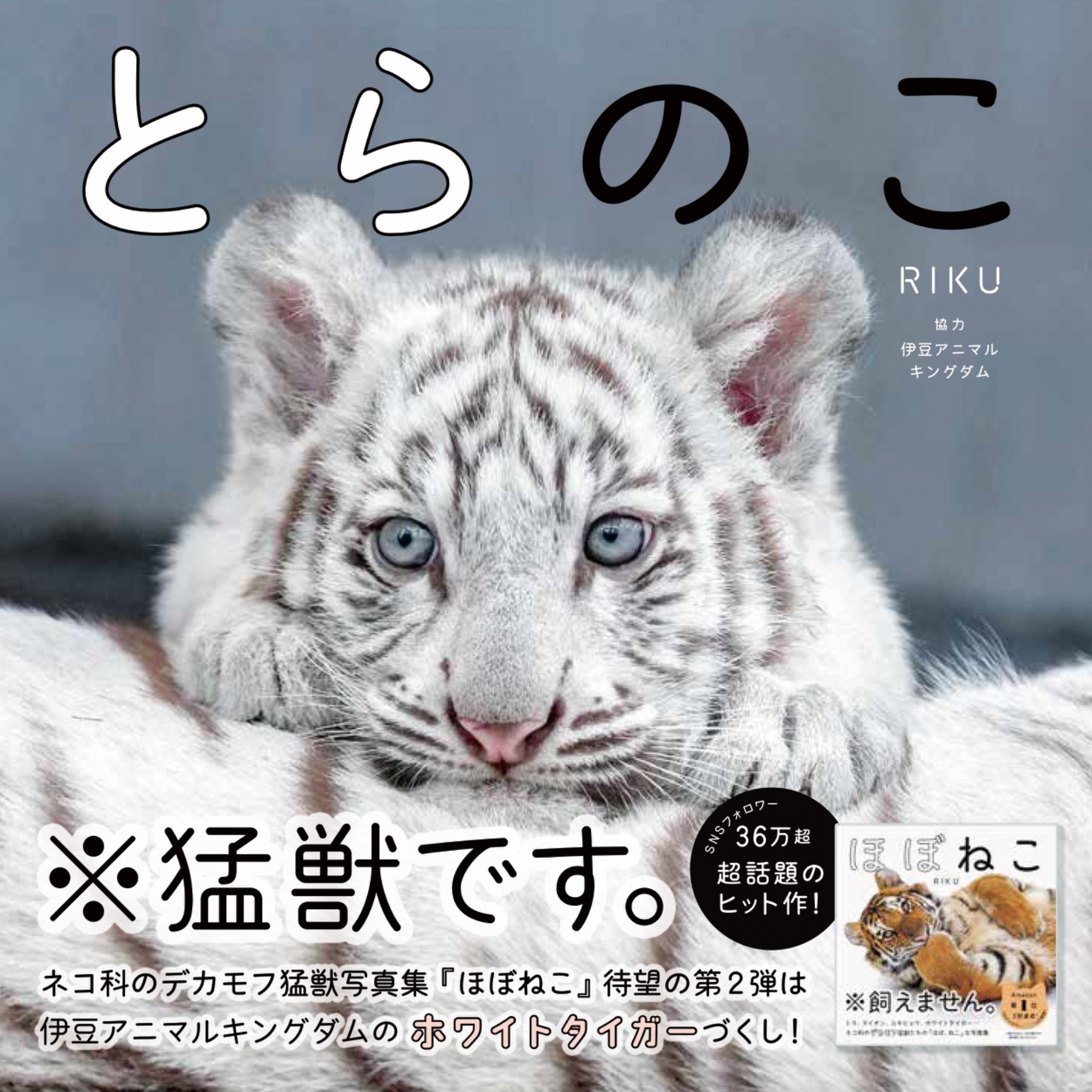 ファッション好きが選ぶ人気ブランドランキング 辰巳出版グループ公式（面白い、楽しい。を追求してSince1967 アルバム・スクラップ