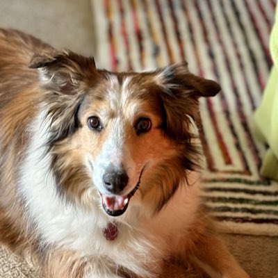 #NewProfilePic