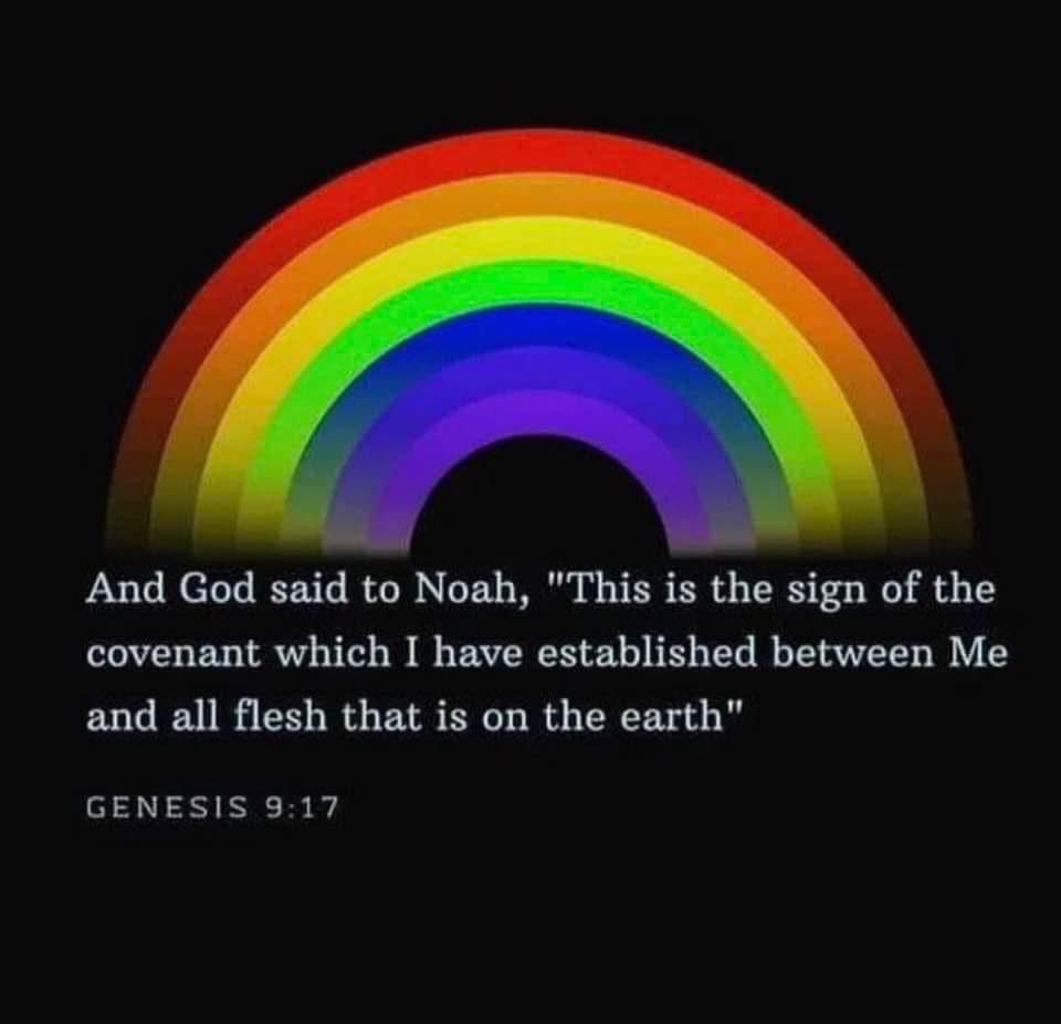 AmericaFirstRS's tweet image. 