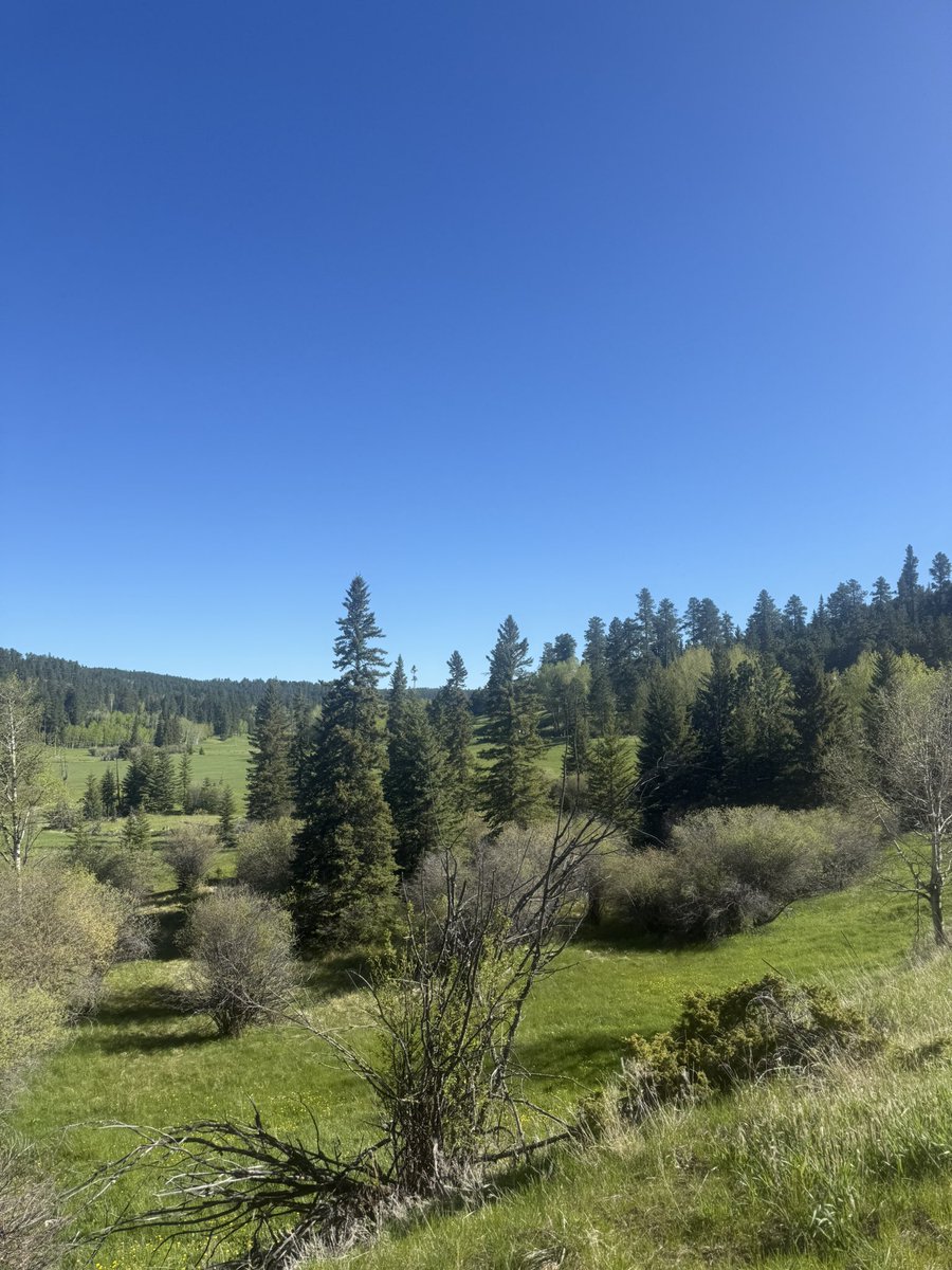 Saturday 5k ✅
Sunday Half Marathon ✅
Mickelson Trail , Deadwood, SD 📍

Would recommend. Great Faces, Great Places.