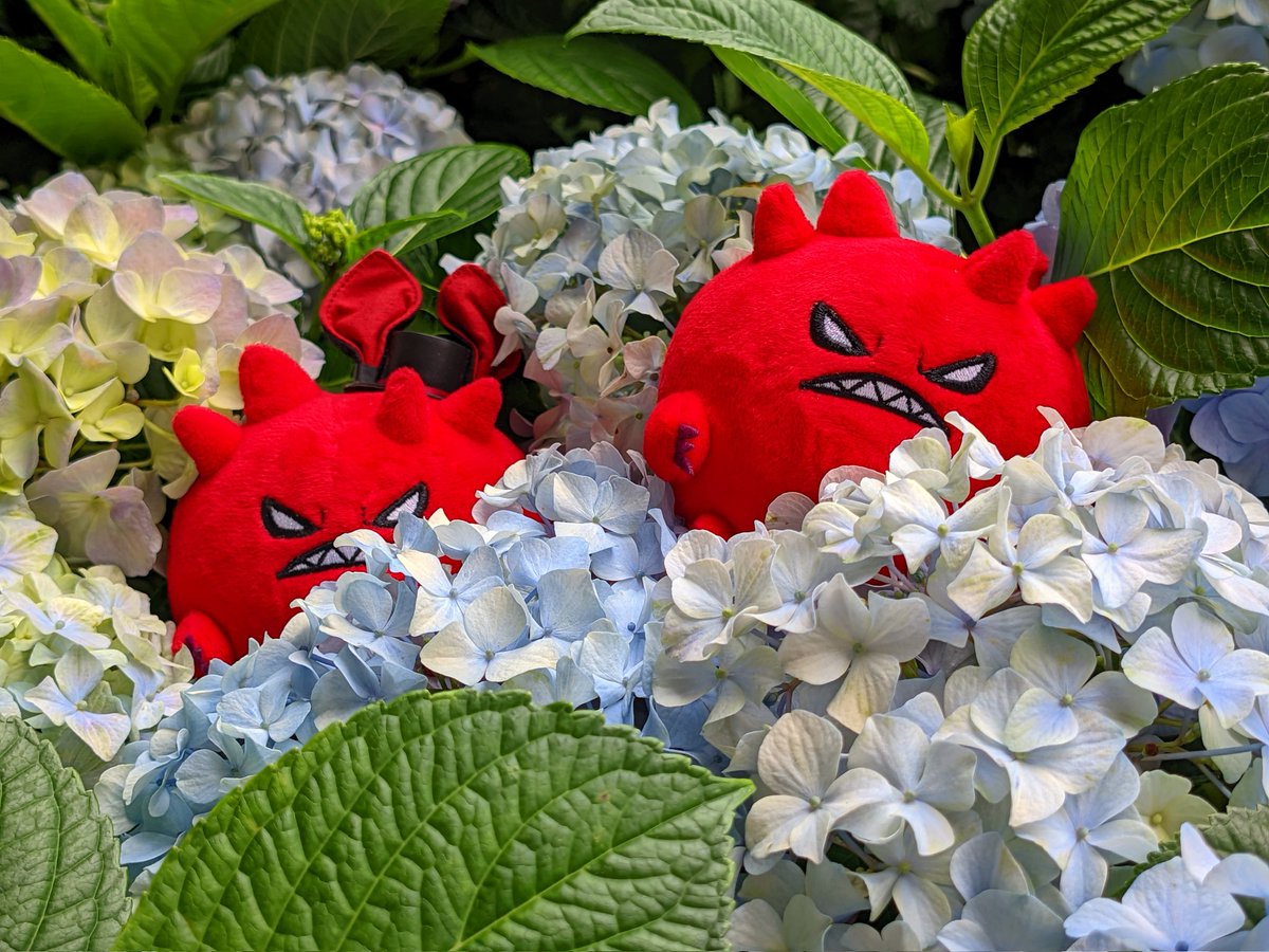 borry666's tweet photo. 🥰🍎 https://t.co/9aaPDBCyhk