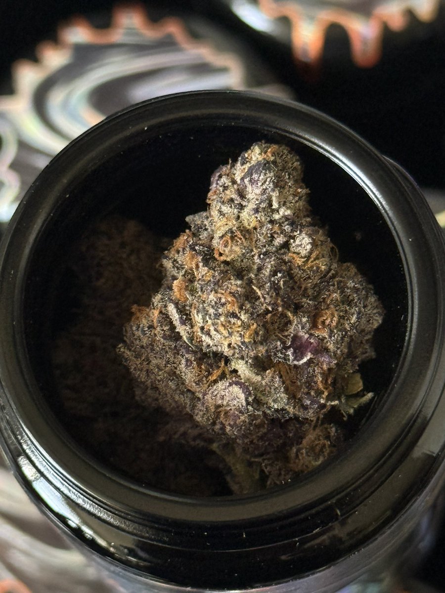 TVNFamily_'s tweet image. 