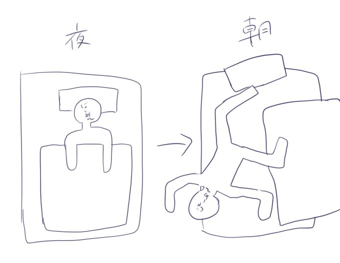 朝起きたらこれで謎すぎる。 