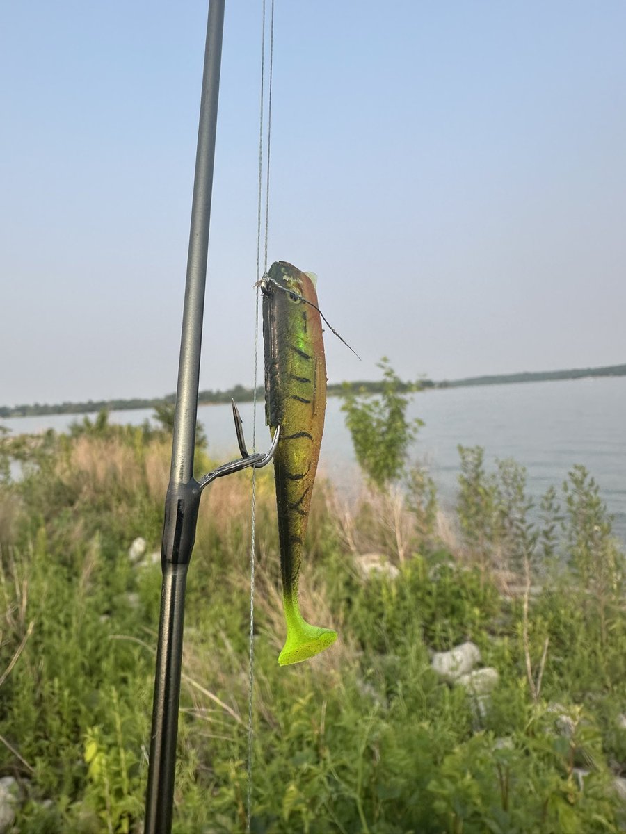 CoachHurstOPHS's tweet photo. Still catching vibes instead of fish… but Sunday summer date nights for the win!! 

I’ve also made friends with a beaver I shall call Bucky… https://t.co/Q88riqrF4T