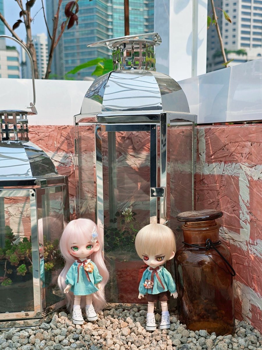 도심 속 작은 정원🌿

#솜뭉치샵 #멍틀리에 #소람님