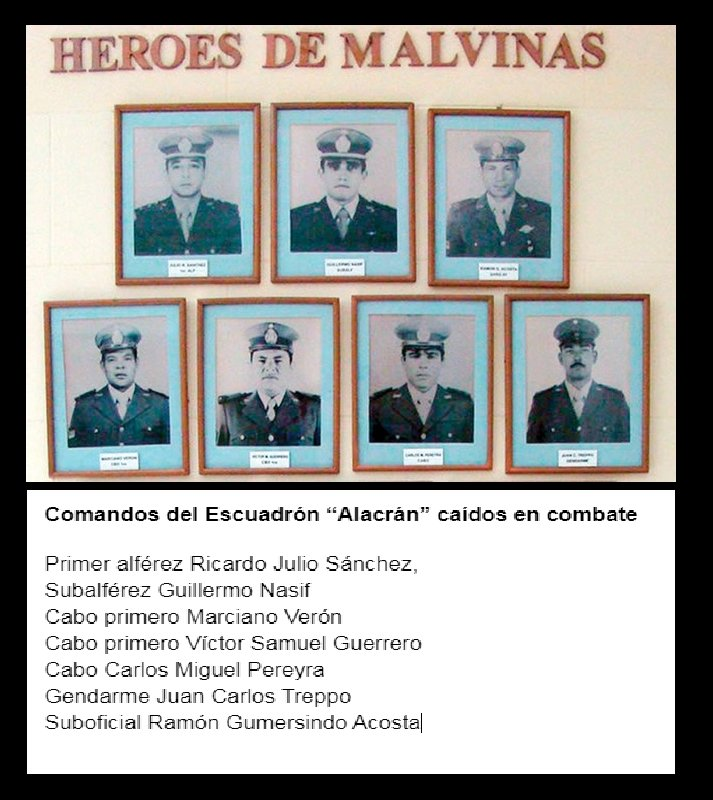 Halcón Malvinas tweet media