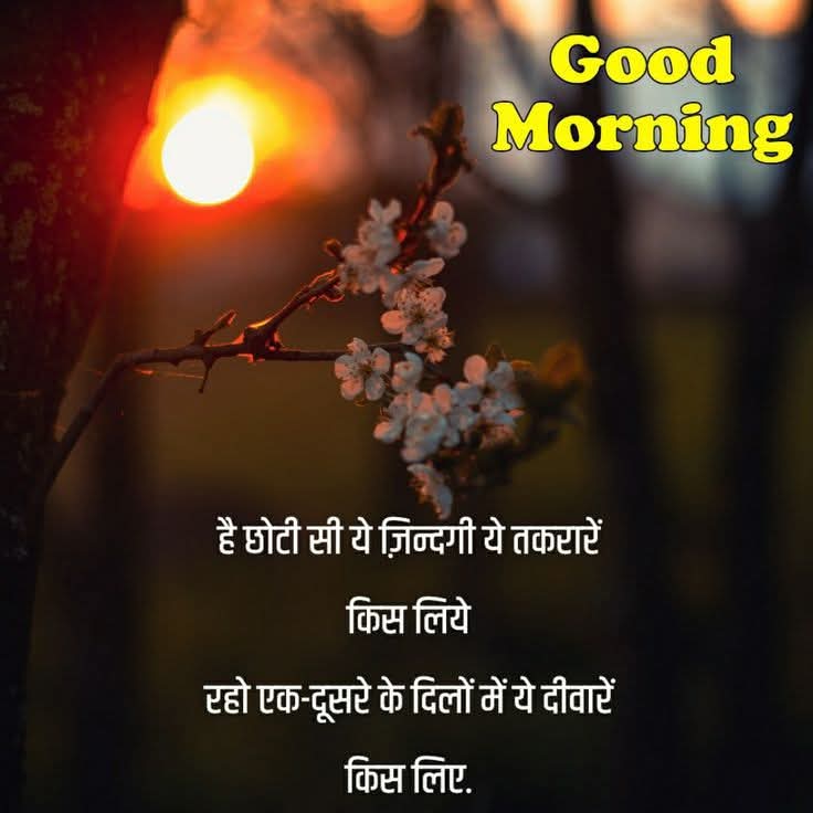 ravisuman14's tweet photo. @SunitaNandwani3 https://t.co/X8rfFYxE8M