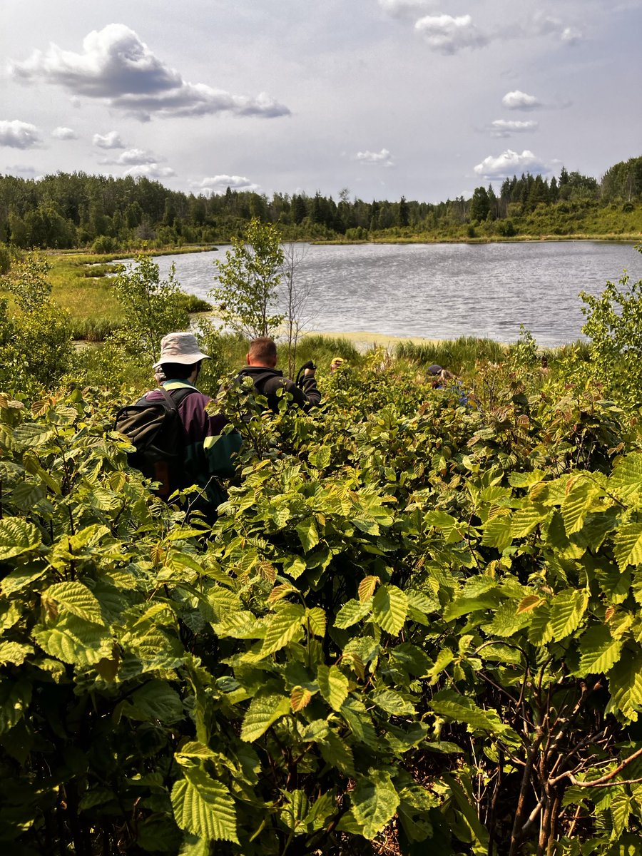 Birding on Edmonton &amp; Area Land Trust (EALT) land north of Wabamun Lake.