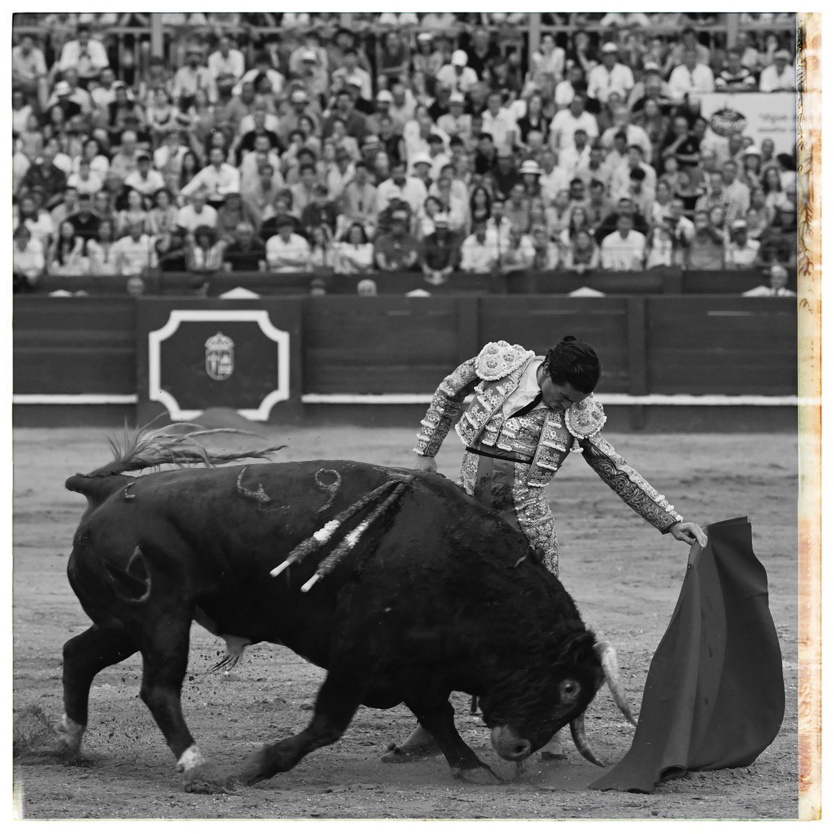 Currino's tweet image. 