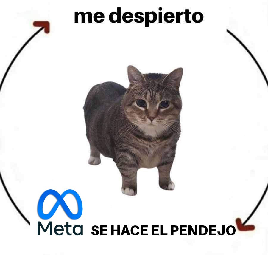 LuisMi Remolino tweet media