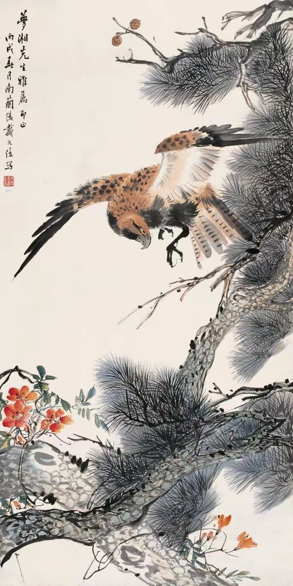 苍鹰🦅
#戴元俊作品