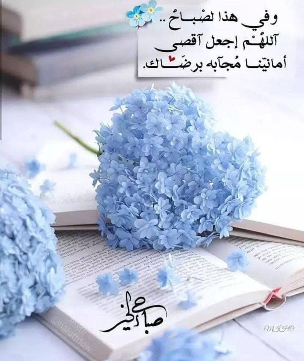 #صباح_الخيرᅠ                   #الحمدلله_دائماً_وابداً