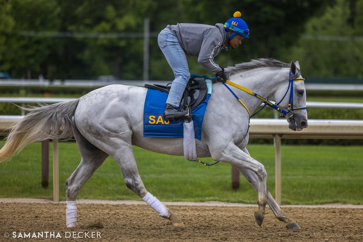 Samantha Decker (she/her) 📷 (@sdeckerphoto) on Twitter photo MG1SW White Abarrio has drawn post position 2 in the Met Mile on <a href="/BelmontStakes/">Belmont Stakes</a> day. The <a href="/SaffieJosephJr/">Saffie Joseph Jr.</a> trainee is approaching the $7 million mark in earnings.
Shot for the <a href="/saratogaspecial/">The Saratoga Special</a> MG1SW White Abarrio has drawn post position 2 in the Met Mile on <a href="/BelmontStakes/">Belmont Stakes</a> day. The <a href="/SaffieJosephJr/">Saffie Joseph Jr.</a> trainee is approaching the $7 million mark in earnings.
Shot for the <a href="/saratogaspecial/">The Saratoga Special</a>