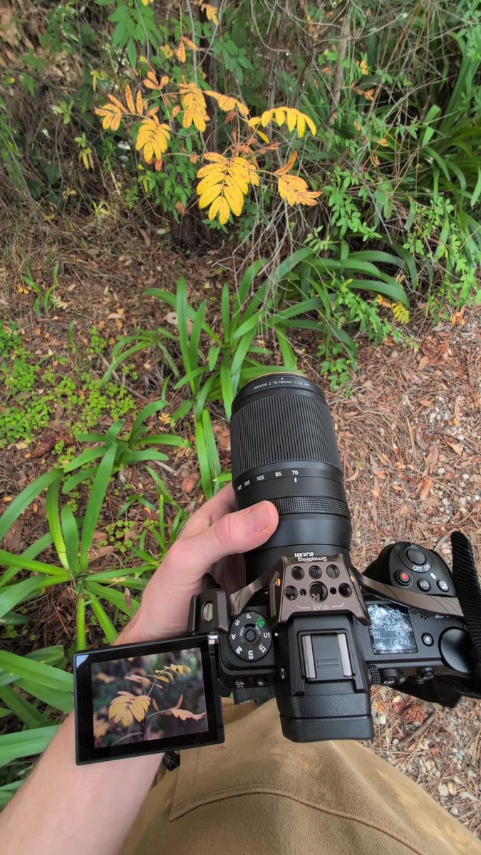 blackoes tweet media