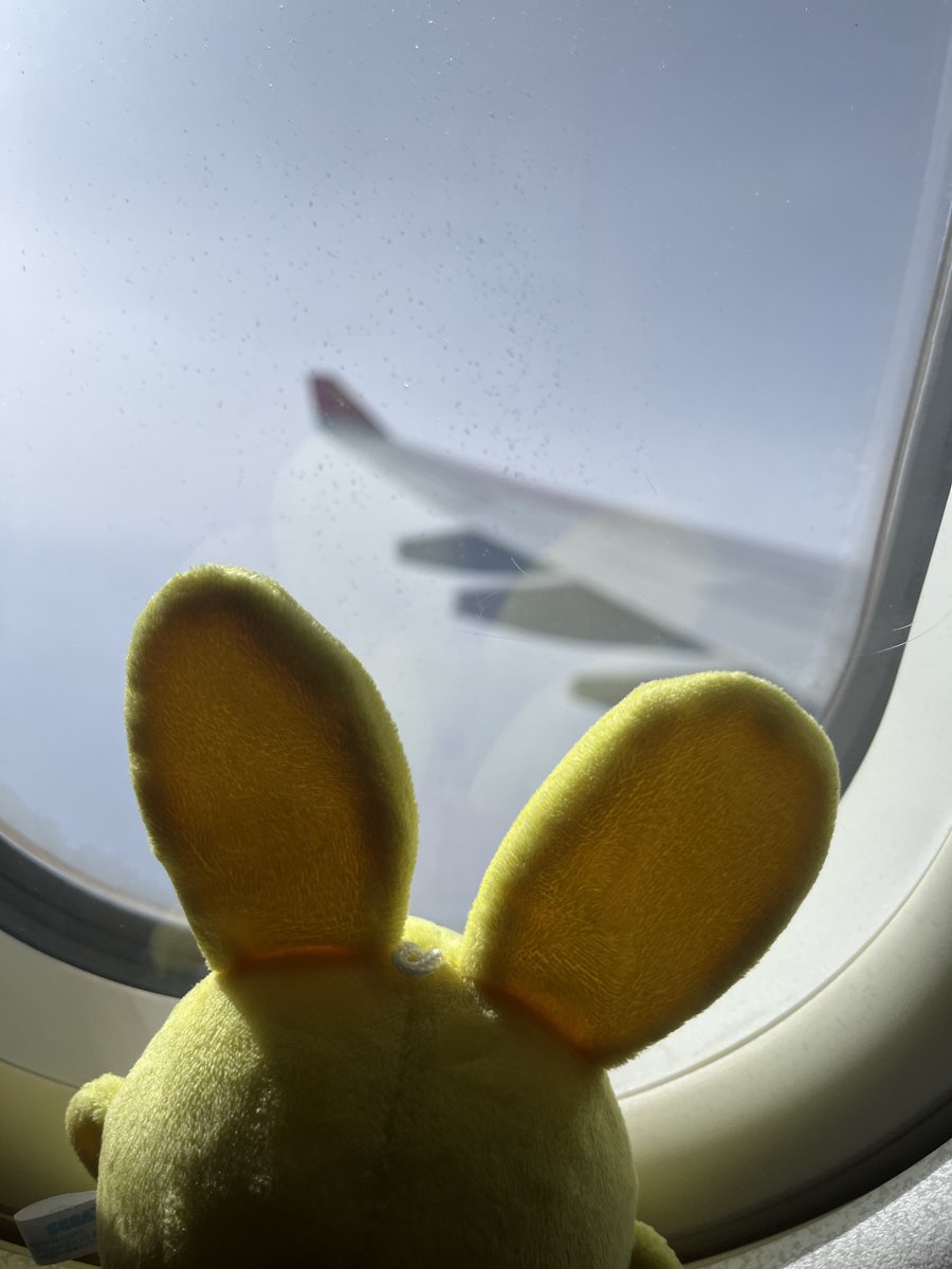 おや？カーくんが飛行機に乗ってどこかへ旅行に行くみたい✈
どうやら行き先は海外みたいだけど…🤔

みんなはどこに行くと思う？
予想をリプライで送ってね💌

答えは明日発表するのでお見逃しなく❣📢

#ぷよぷよ #ぷよクエ