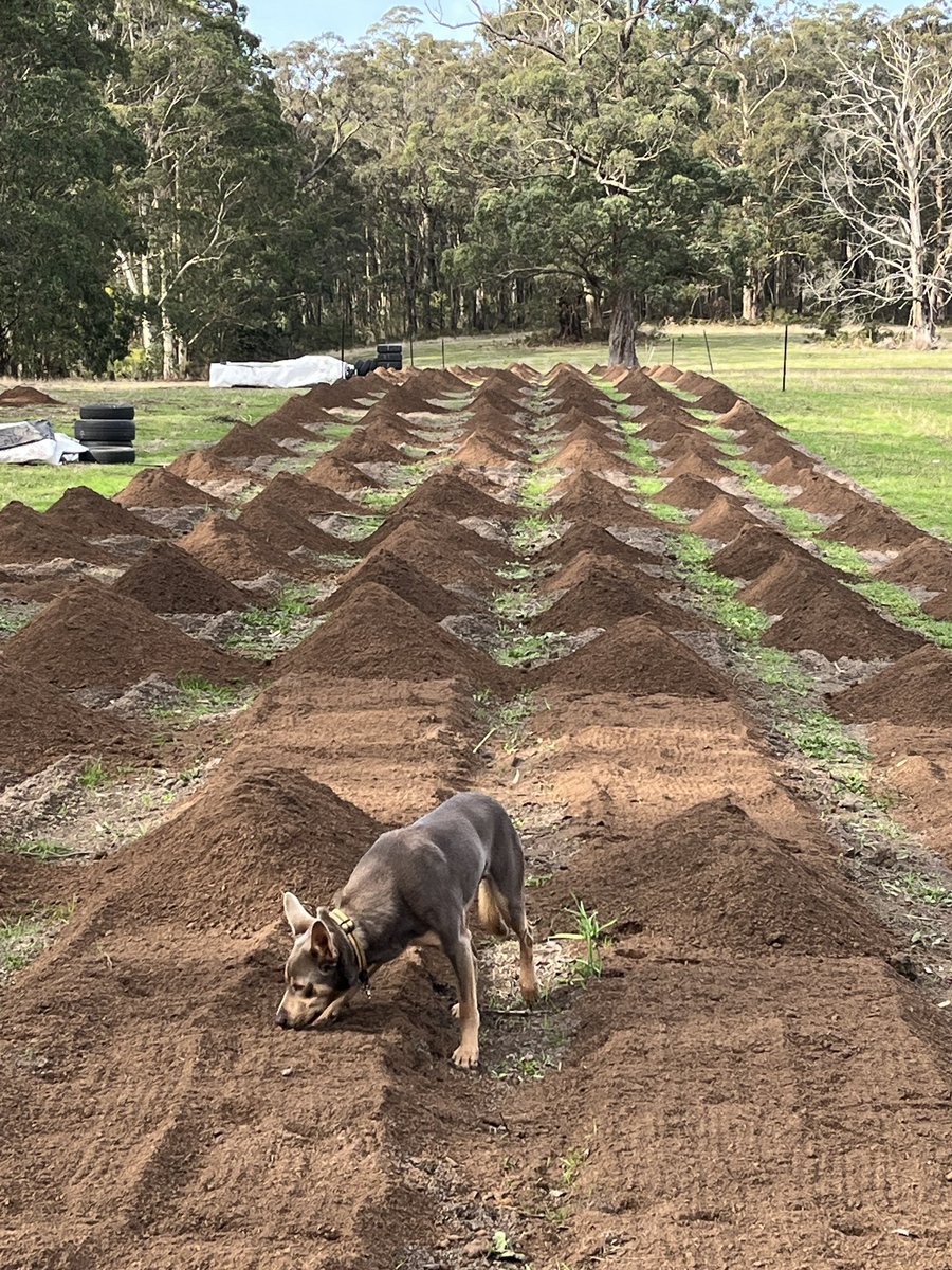 Preparation. Doing it!