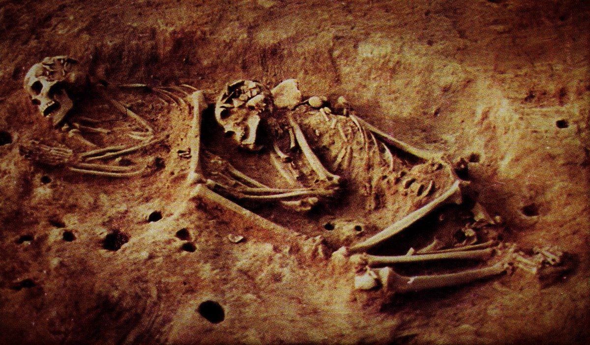 Sí, el palo no está pa cucharas, pero les traigo esta historia maravillosa de ciencia para tomarnos un respiro:😮‍💨

¿Cómo reconstruyeron el primer genoma completo de un colombiano de hace 6000 años?

¿Cómo así que el ADN de esa “población” no coincide con ninguna de Suramérica? 🧵