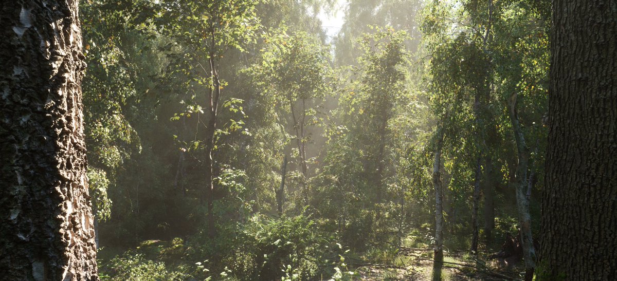 Polygonflow Dash tweet media