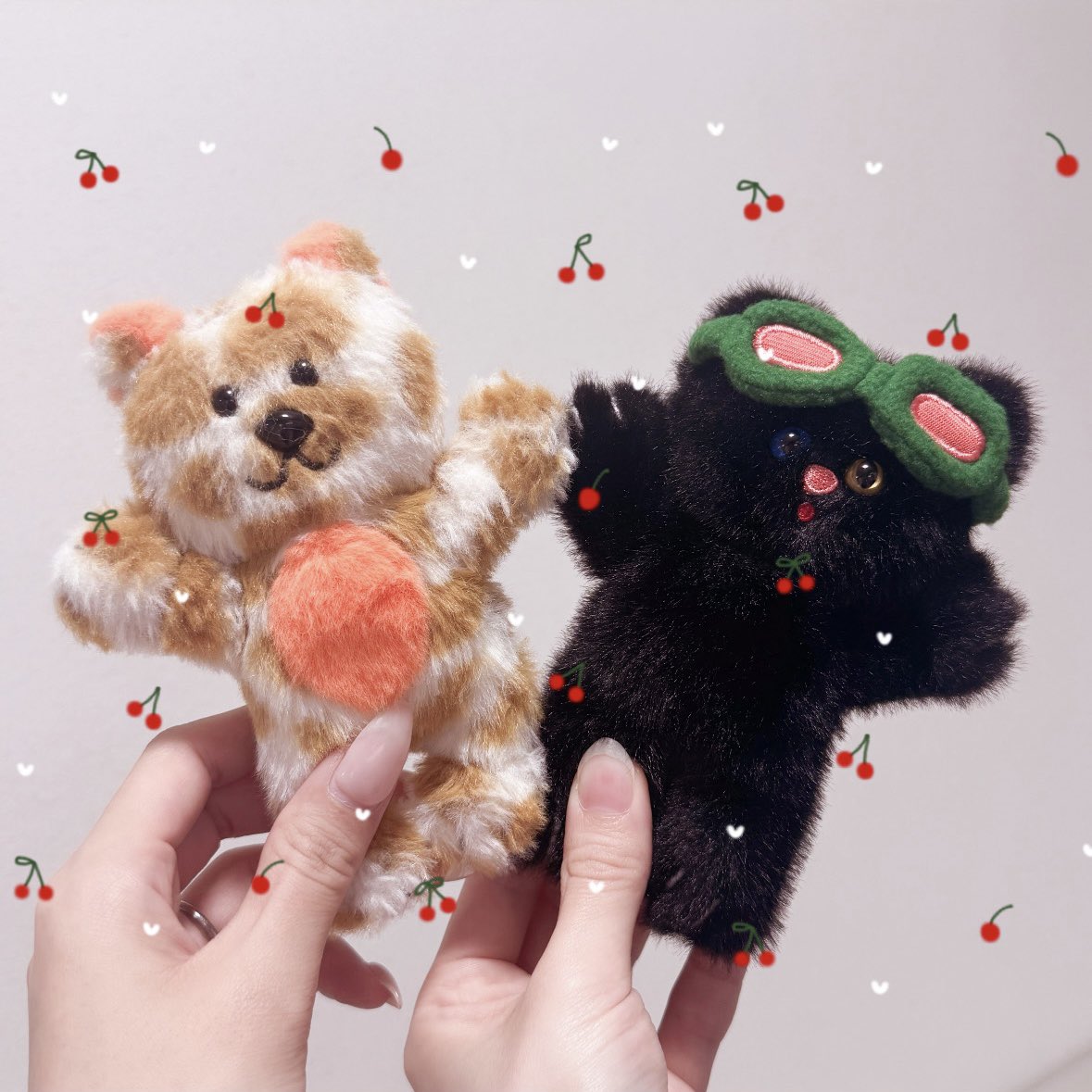 muuuu_______bnd's tweet image. ㊗️はじめてのコムチズ😻