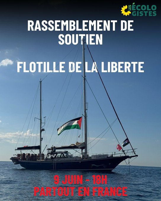 Inutile d'ajouter au bruit autour de la "flottille de la liberté". On rappellera seulement que flottille prend deux t et désigne une flotte de plusieurs petits bâtiments.
Pour le reste, étant professeur et non psychiatre, je m'abstiens de commenter ce nouveau délire collectif et