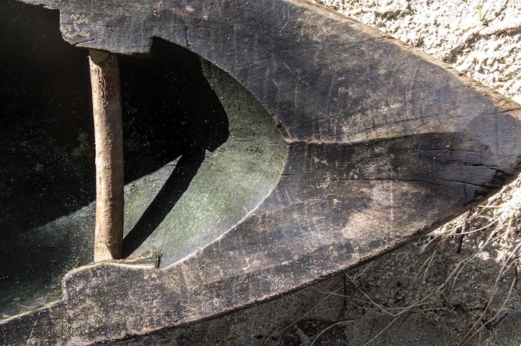 TBartelment's tweet image. Archaeologists Found Ancient Tools That Contradict the Timeline of Civilization

yahoo.com/news/archaeolo…

#AncientTools
#PaleolithicEra