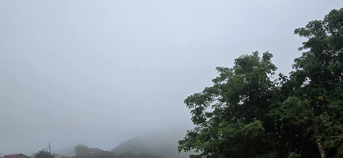 Norma Ortiz Rodriguez (@normaortizrodr4) on Twitter photo Neblina en las montañas de Cidra. Bendecido dia 🙏🏻💖☕️☕️ <a href="/DeborahTiempo/">Deborah Martorell</a> <a href="/adamonzon/">Ada Monzón</a> <a href="/SLopezTiempo/">Suheily López Belén</a> <a href="/EliRobainaTV/">Elizabeth Robaina</a> <a href="/Carlostoletv/">Carlos Tolentino</a> <a href="/carlosomartv/">Carlos Omar</a> <a href="/rcortestv2/">Roberto Cortes T2</a> @StudentOfWX <a href="/CycloforumsPR/">CycloforumsPR</a> <a href="/SusanSoltero/">Susan Soltero</a> <a href="/hectorroldantv/">Hector Roldan</a> <a href="/zamiratv/">Zamira Mendoza</a> <a href="/TWAPuertoRico/">The Weather Alert P.R.</a> <a href="/Zona_del_tiempo/">Zona_del_tiempo_pr</a> Neblina en las montañas de Cidra. Bendecido dia 🙏🏻💖☕️☕️ <a href="/DeborahTiempo/">Deborah Martorell</a> <a href="/adamonzon/">Ada Monzón</a> <a href="/SLopezTiempo/">Suheily López Belén</a> <a href="/EliRobainaTV/">Elizabeth Robaina</a> <a href="/Carlostoletv/">Carlos Tolentino</a> <a href="/carlosomartv/">Carlos Omar</a> <a href="/rcortestv2/">Roberto Cortes T2</a> @StudentOfWX <a href="/CycloforumsPR/">CycloforumsPR</a> <a href="/SusanSoltero/">Susan Soltero</a> <a href="/hectorroldantv/">Hector Roldan</a> <a href="/zamiratv/">Zamira Mendoza</a> <a href="/TWAPuertoRico/">The Weather Alert P.R.</a> <a href="/Zona_del_tiempo/">Zona_del_tiempo_pr</a>