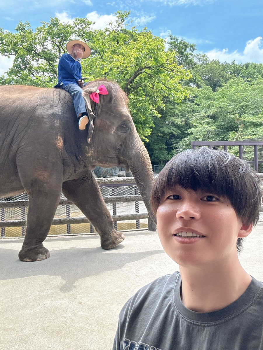 ndayo2nd's tweet image. 素晴らしい動物園