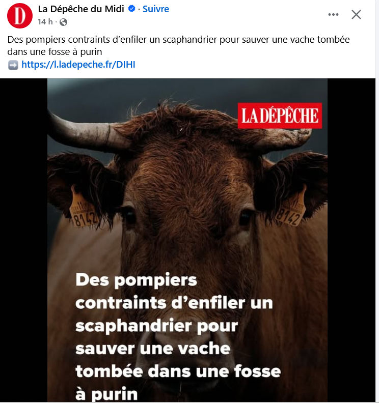 Une pensée pour ce pauvre scaphandrier qui n'avait rien demandé.
Et pendant ce temps là, la vache manque de mourir...
#FrAgTw