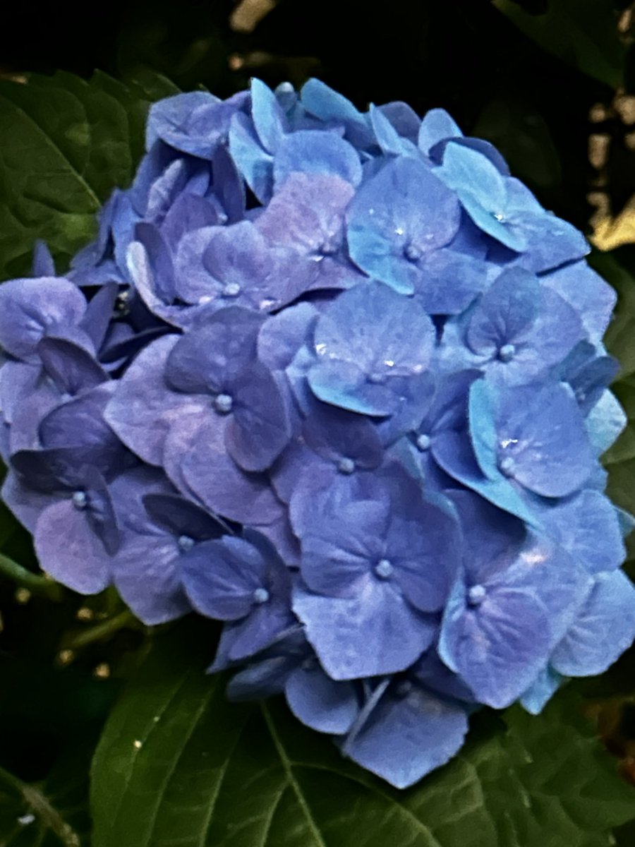 Ham (@hamhamham_e) on Twitter photo 