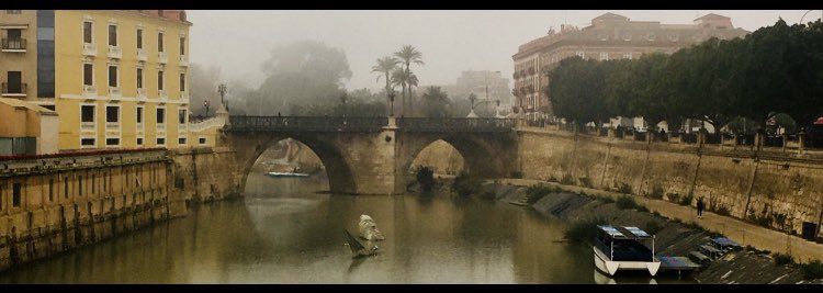 Feliz día de la Región de Murcia 🍋❤️ #DiaDeLaRegionMurcia