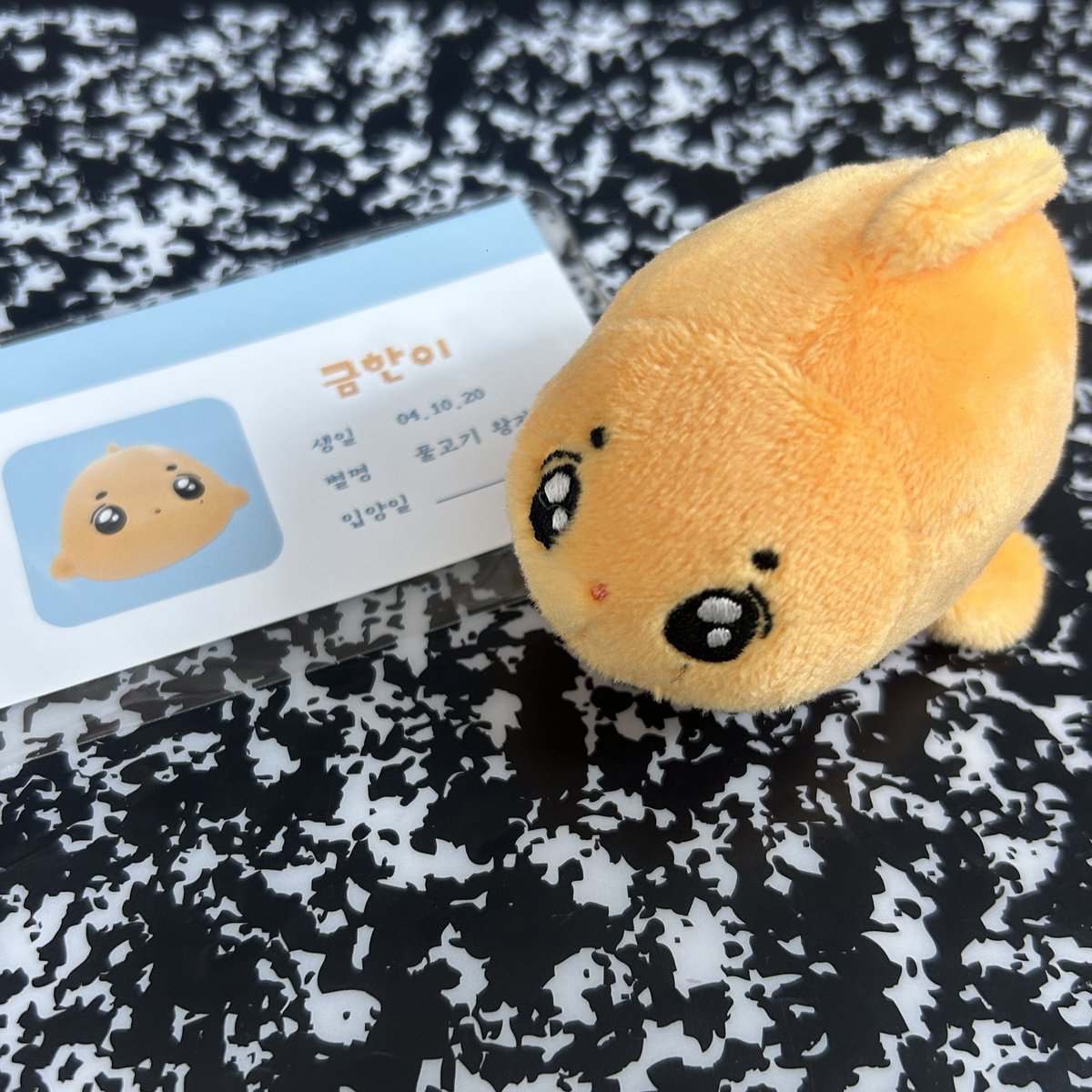 안녕? 금한이에요♡ ◠ ◠