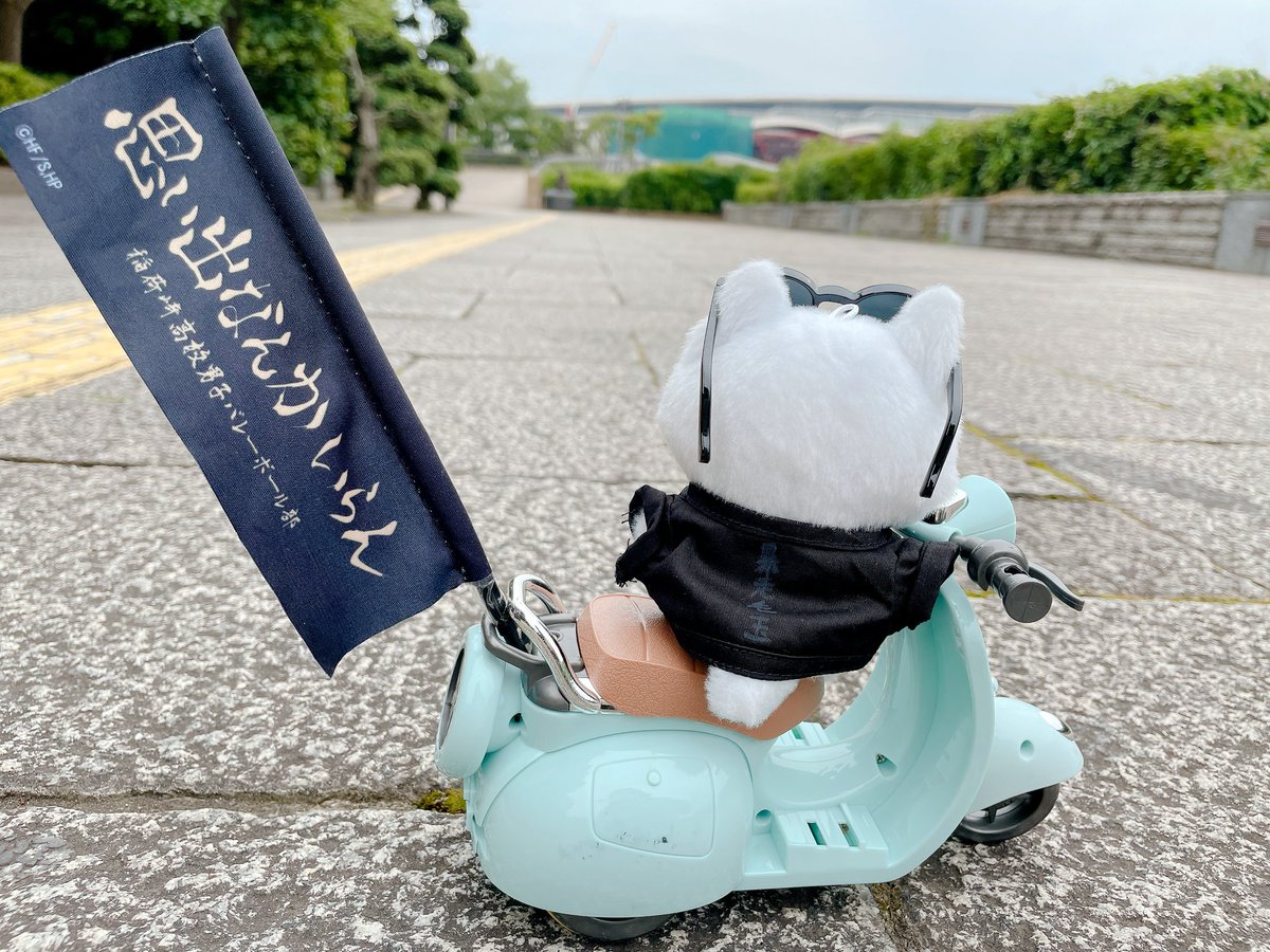 ぽんぽこりーん(週末低浮上) tweet media