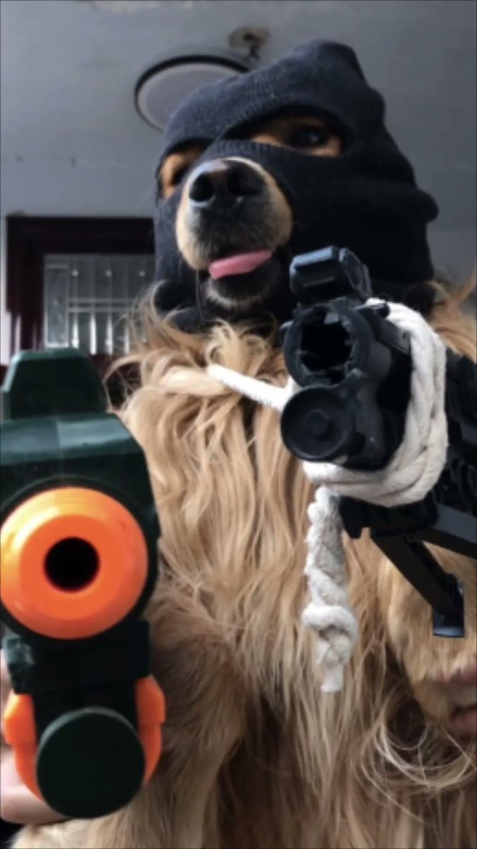 robTeam_'s tweet image. This is a $rob-bery... give me some of your sol