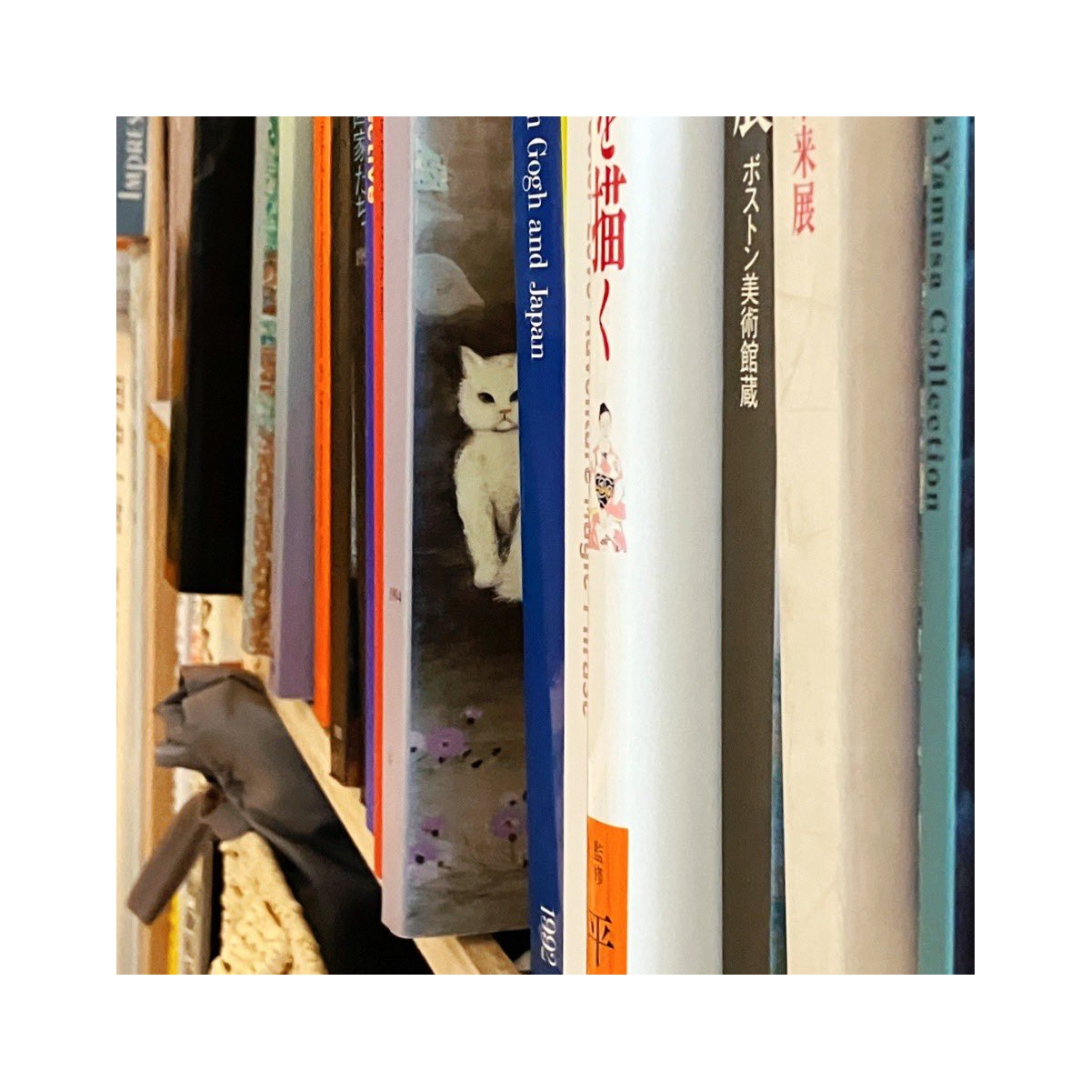 _otaka036's tweet image. 制作中ふと振り返ったら画集の猫が見ていたよ