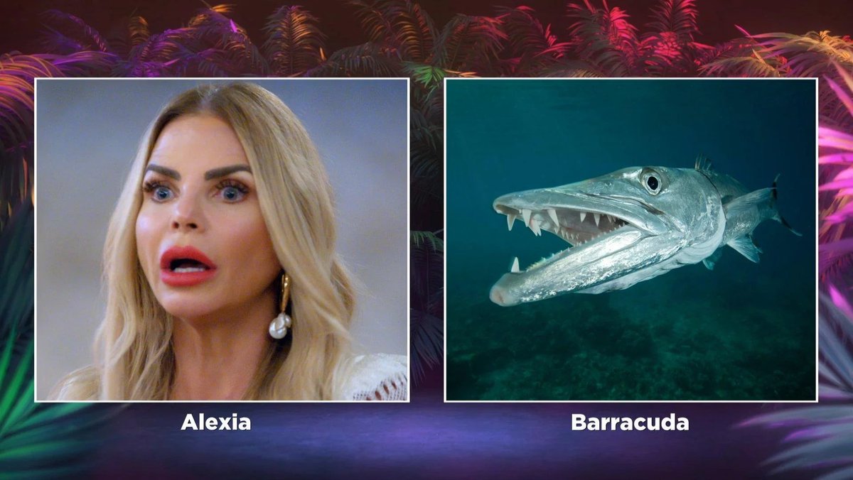 thegrandame's tweet photo. happy #RHOM week to those who celebrate https://t.co/RVrh9InaZl